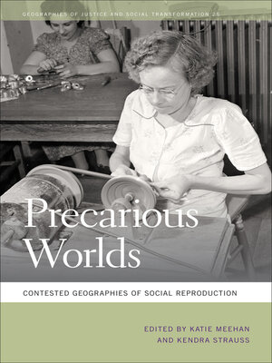 cover image of Precarious Worlds